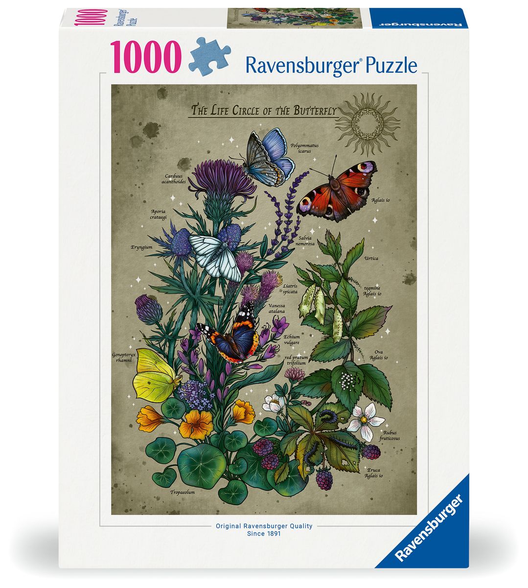 1000 Teile Puzzle 'Schmetterlinge – Bunte Monarchfalter' – 68x47 Cm, Hochwertiger Druck, Staubfrei Geschnitten