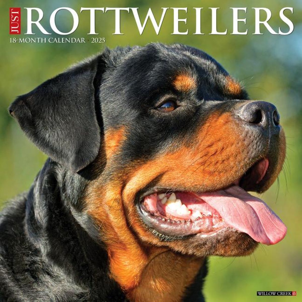 Just Rottweilers 2025 12 X 12 Wall Calendar - Tierkalender | Thalia