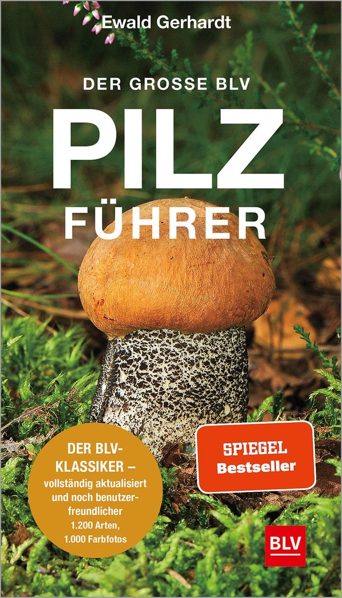 Der große BLV Pilzführer von Ewald Gerhardt - Buch - 978-3-96747-012-3