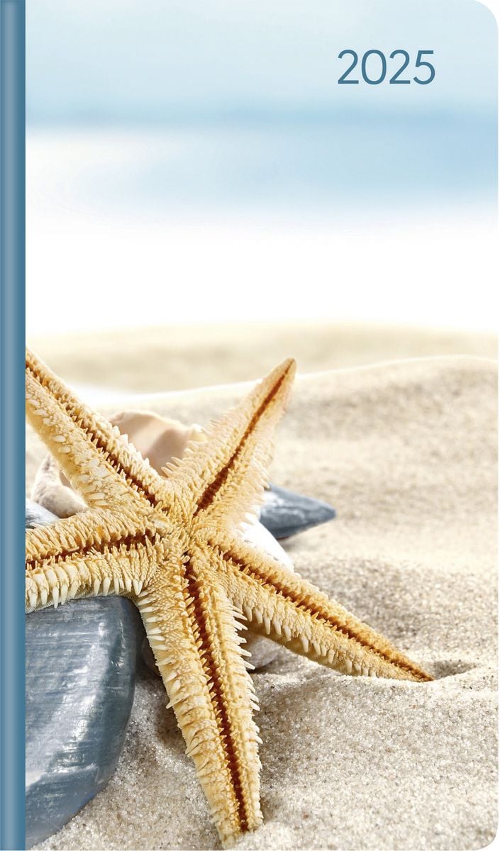 'Ladytimer Slim Sea Star 2025 - Taschen-Kalender 9x15,6 cm - Seestern 