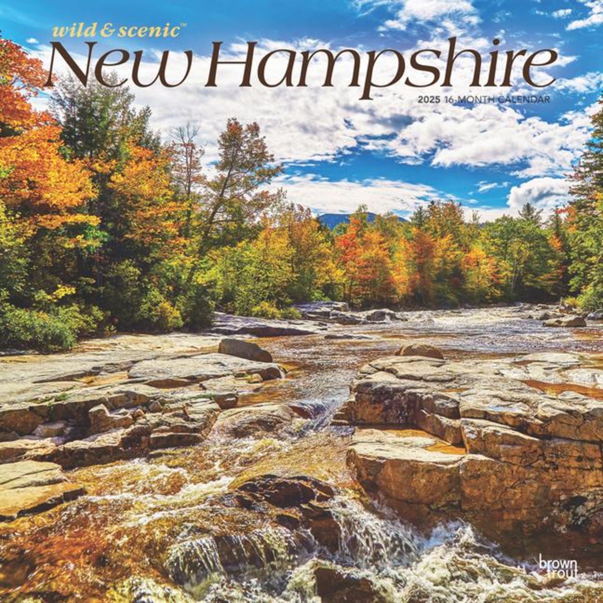 'New Hampshire Wild & Scenic 2025 12 X 24 Inch Monthly Square Wall Calendar PlasticFree' 'Bücher'