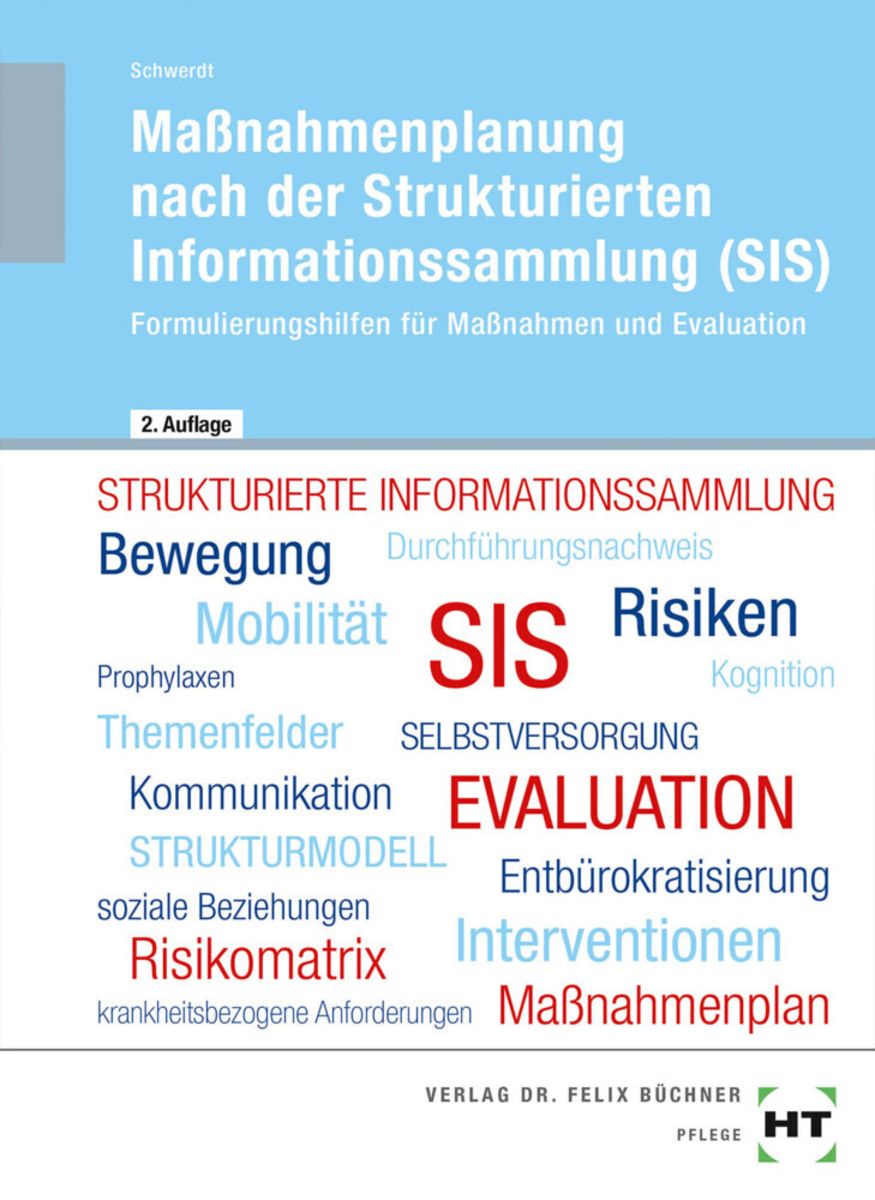 Maßnahmenplanung Nach Der Strukturierten Informationssammlung (SIS ...