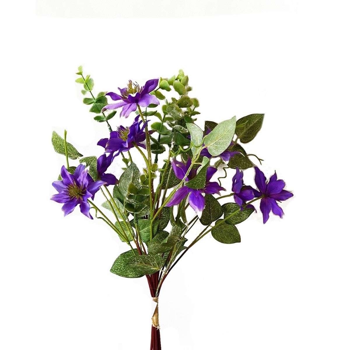 welches substrat für monstera AROID MIX 5L main image 0