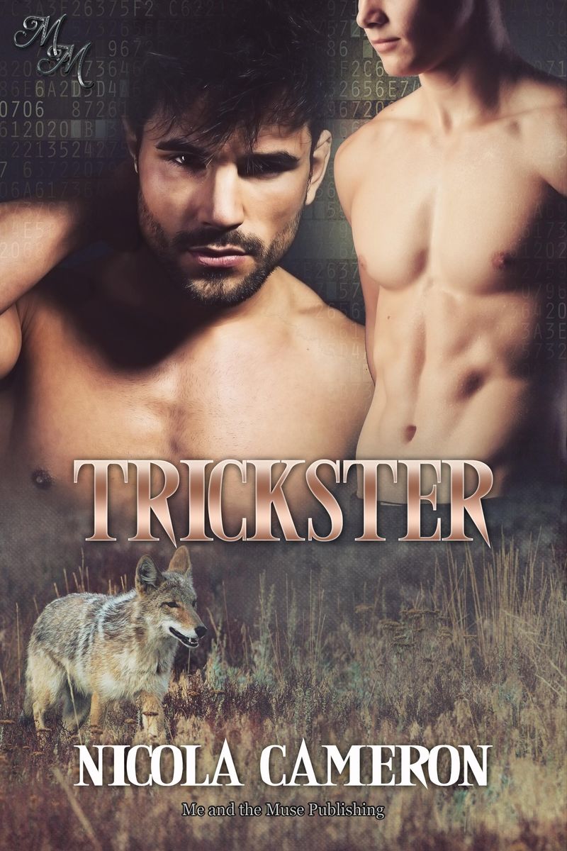 Trickster Von Nicola Cameron Ebook