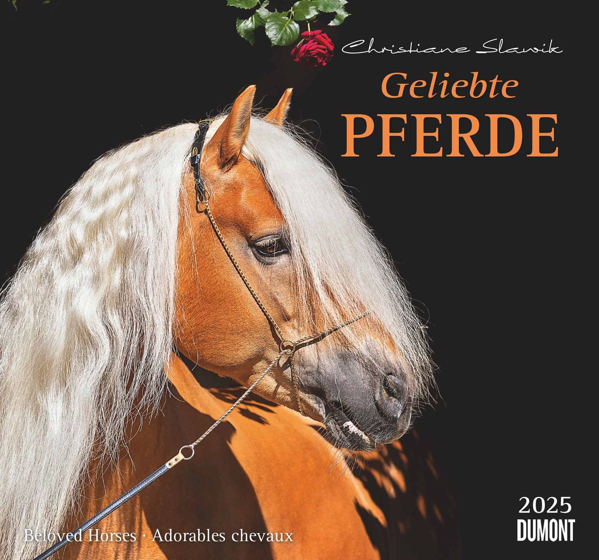 DUMONT Geliebte Pferde 2025 Wandkalender, 38x35,5cm, FotokunstKalender mit schönen Pferde