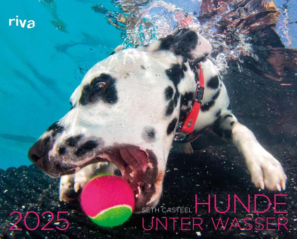 Hunde unter Wasser 2025 Hunde Thalia