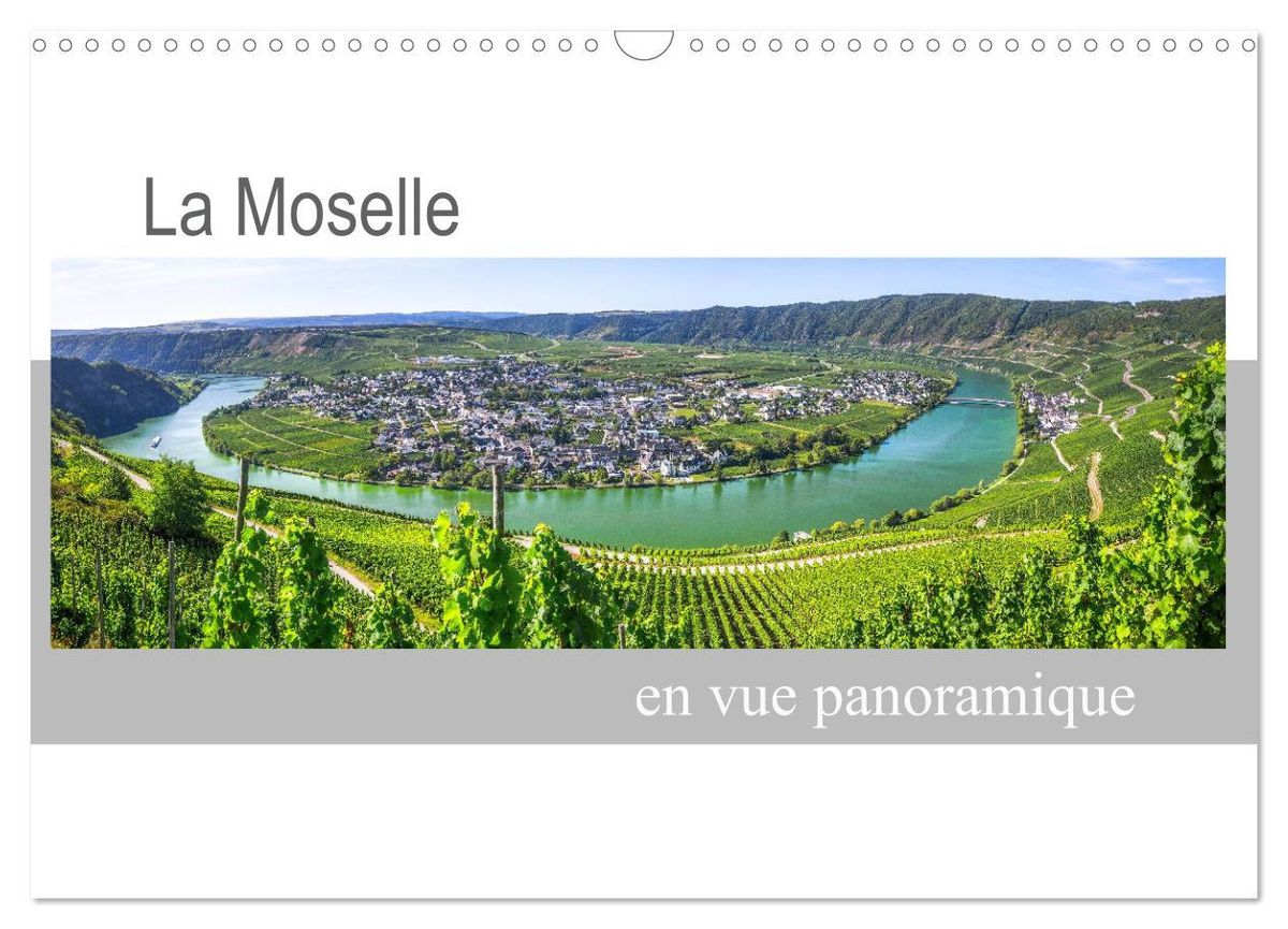 'La Moselle en vue panoramique (Calendrier mural 2024 DIN A3 vertical