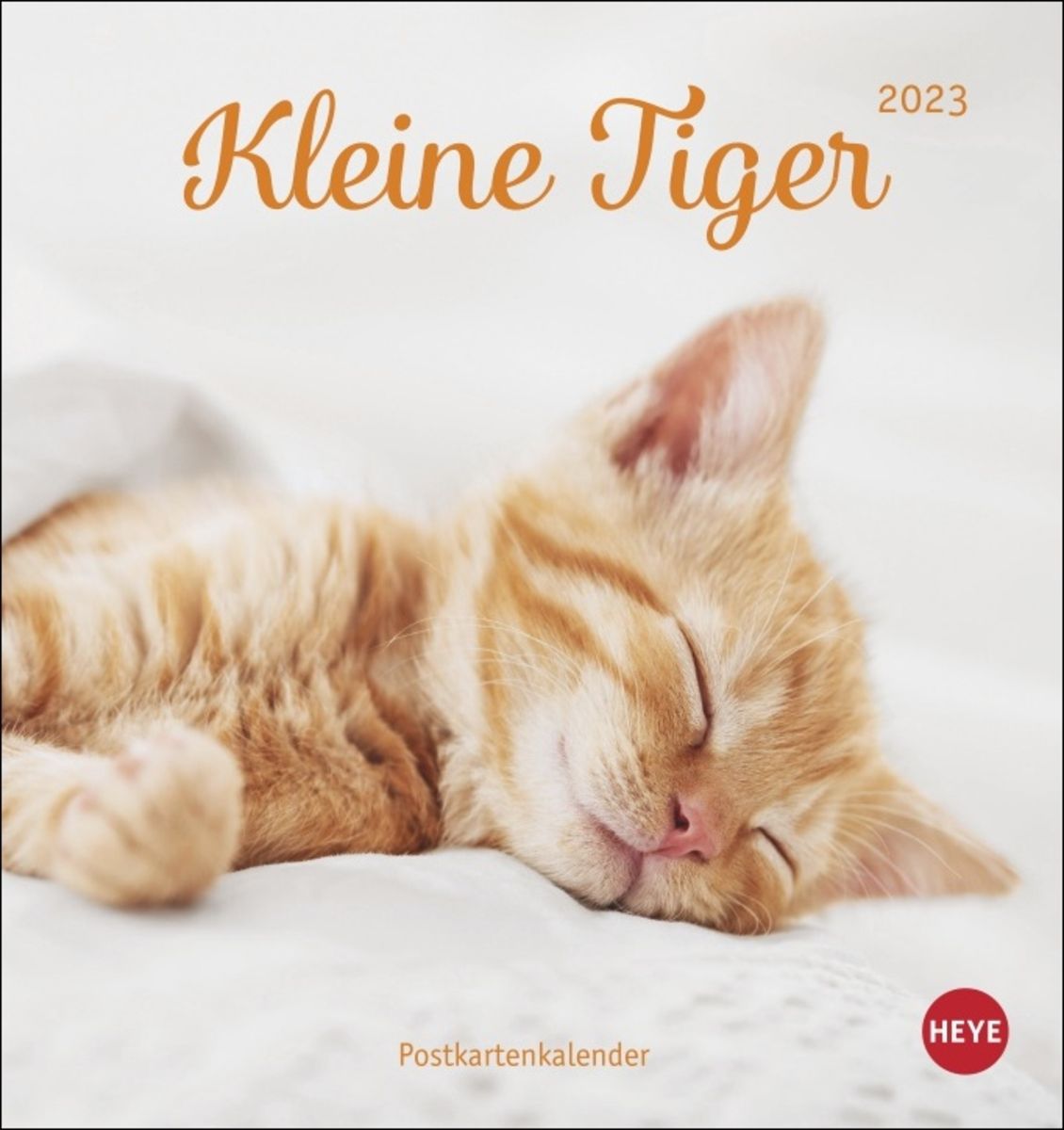 'Katzen - Kleine Tiger Postkartenkalender 2023. Entzückende