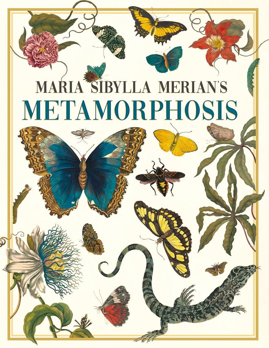 Cover: Maria Sibylla Merian’s Metamorphosis: One Woman’s Discovery of the Transformation of Butterflies and Insects
