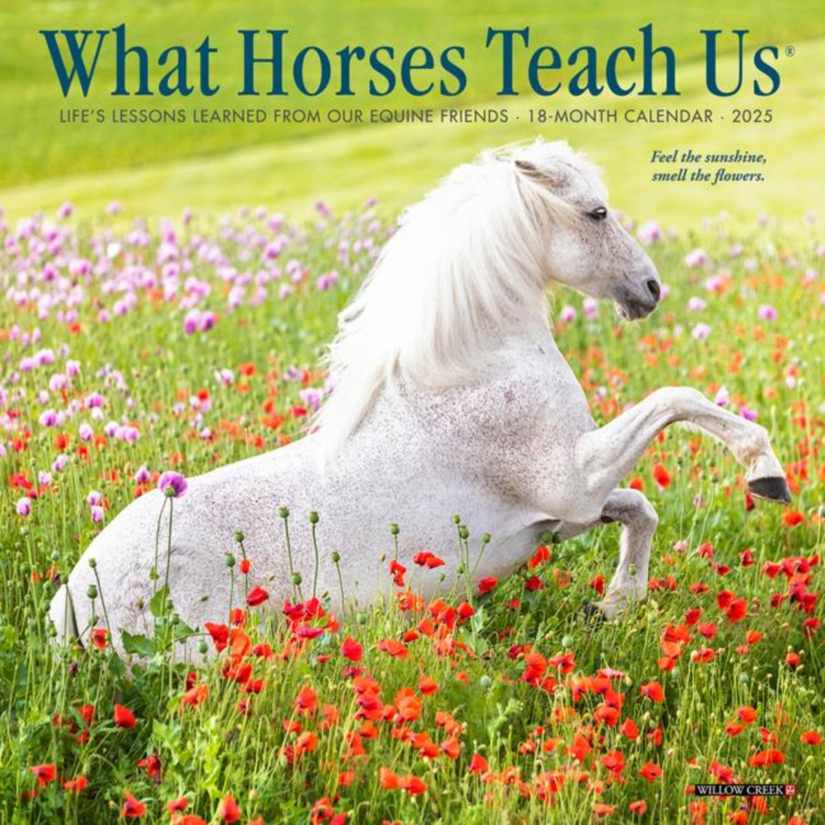 'What Horses Teach Us 2025 7 X 7 Mini Wall Calendar' 'Tierkalender'