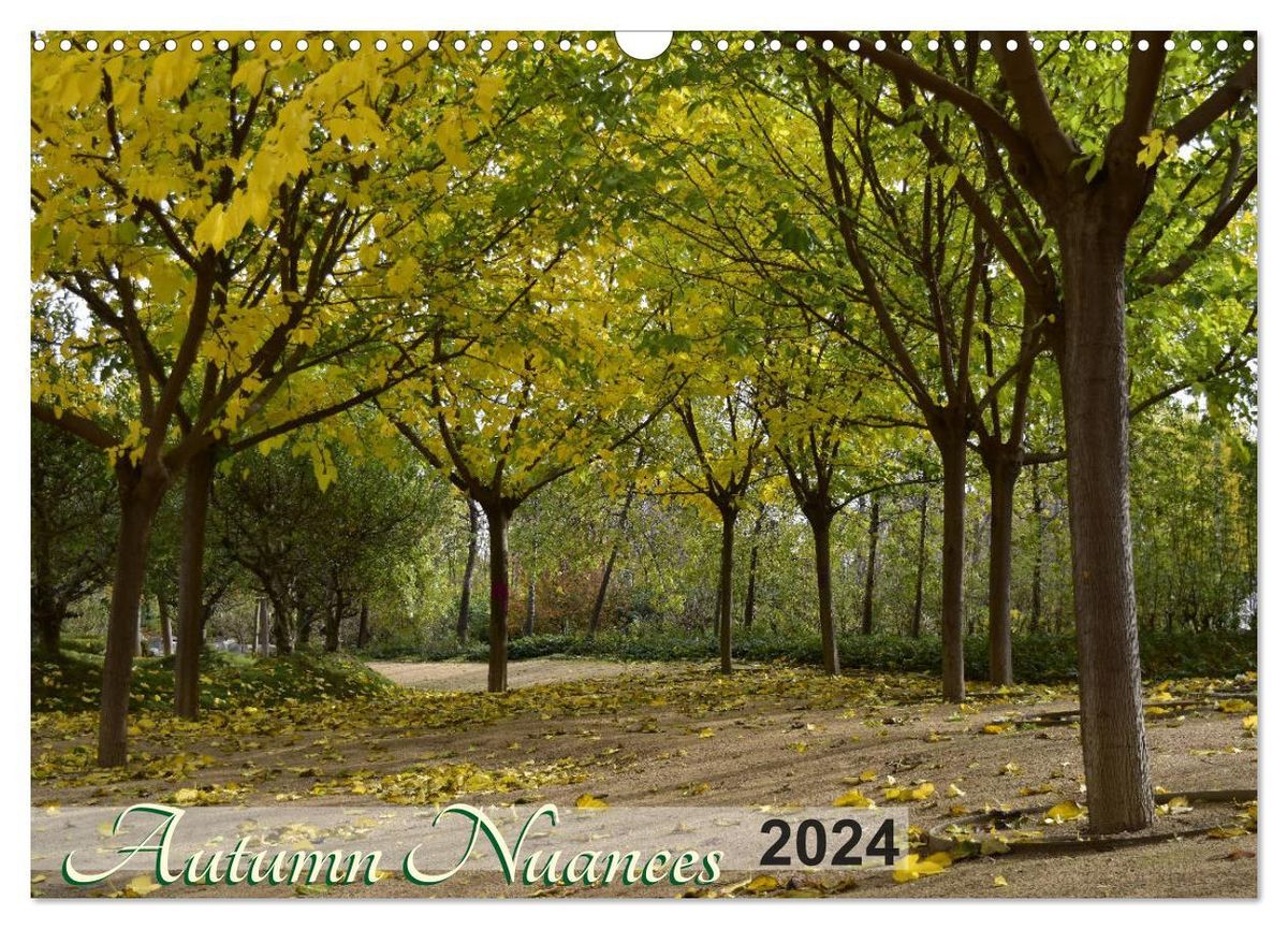 'Autumn Nuances (Wall Calendar 2024 DIN A3 landscape), CALVENDO 12