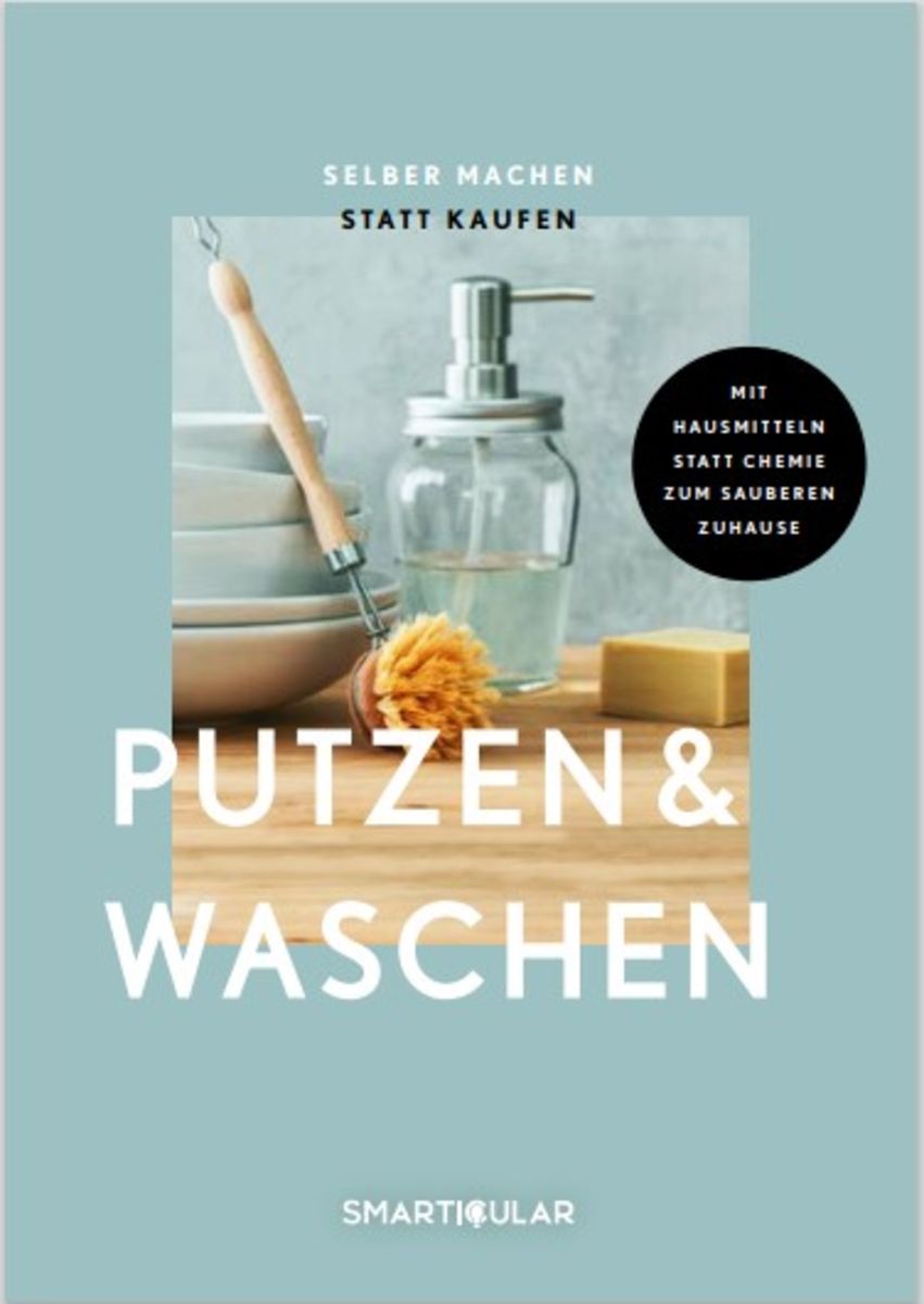 "Selber machen statt kaufen Putzen & Waschen" online kaufen