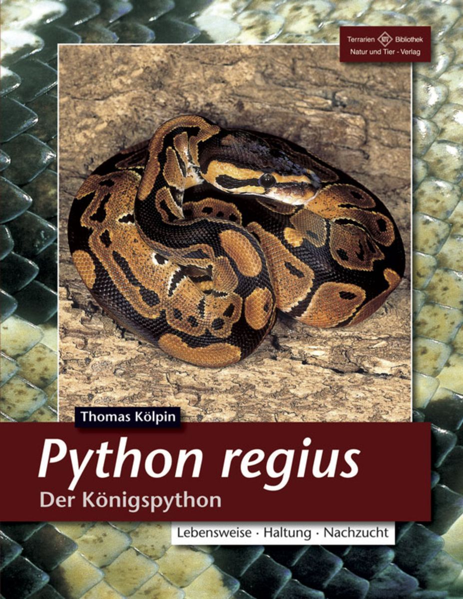 python-regius-taschenbuch-