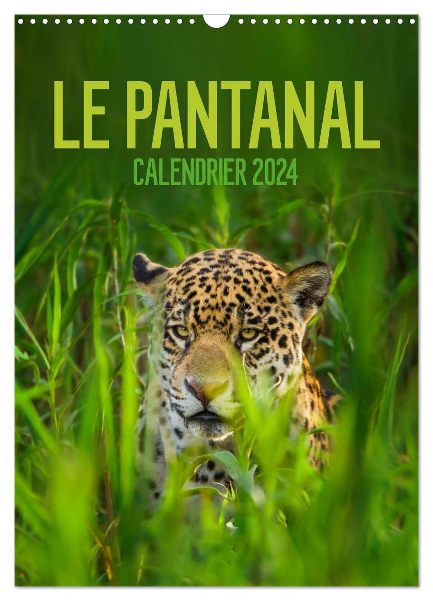 Le Pantanal (Calendrier mural 2024 DIN A3 horizontal), CALVENDO calendrier  mensuel' - 'Kalender