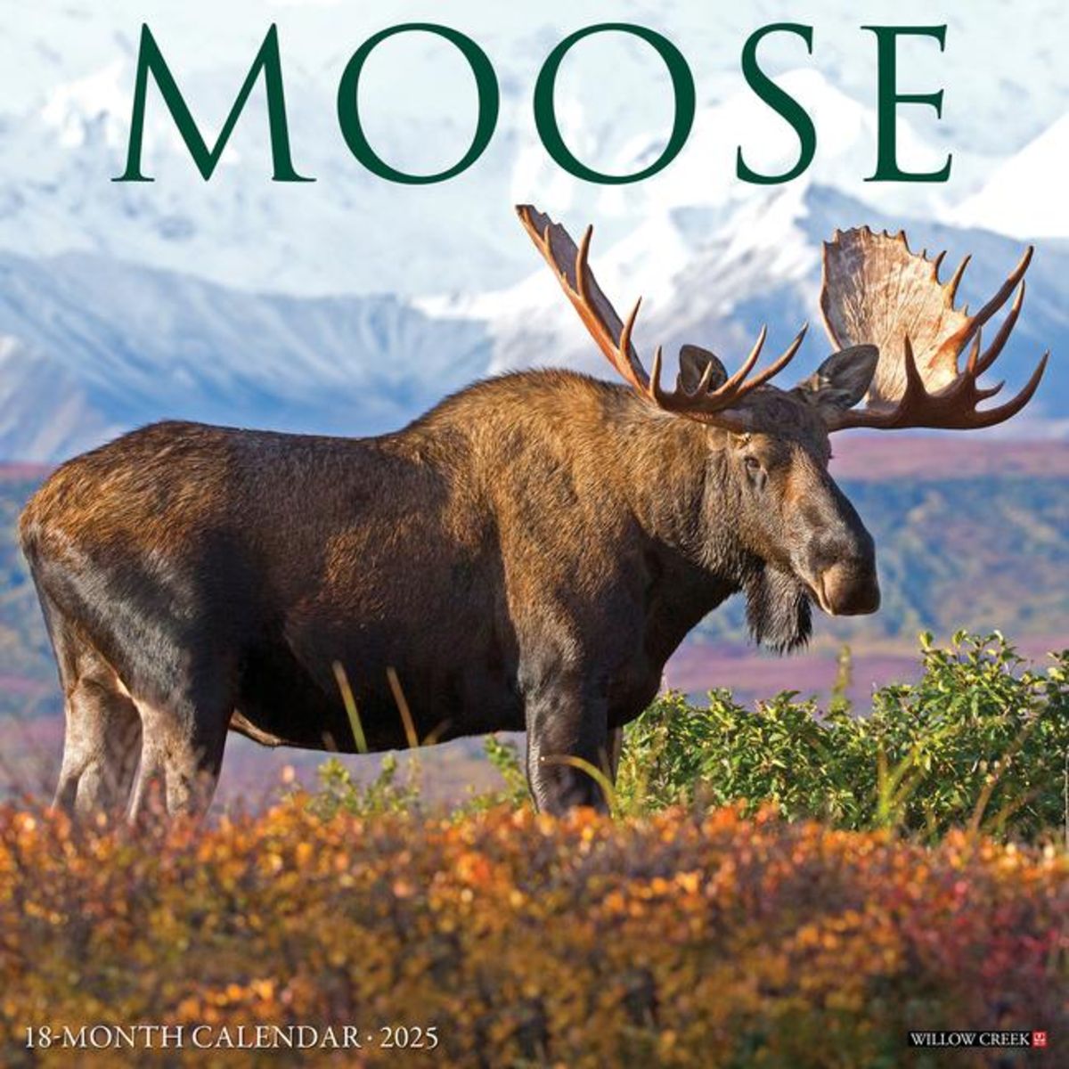 moose-2025-12-x-12-wall-calendar-tierkalender