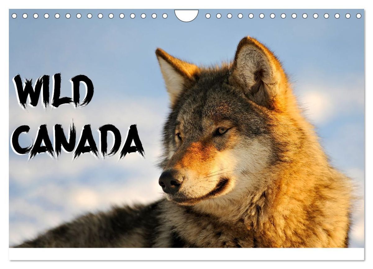 'Wild Canada (Wall Calendar 2024 DIN A4 landscape), CALVENDO 12 Month