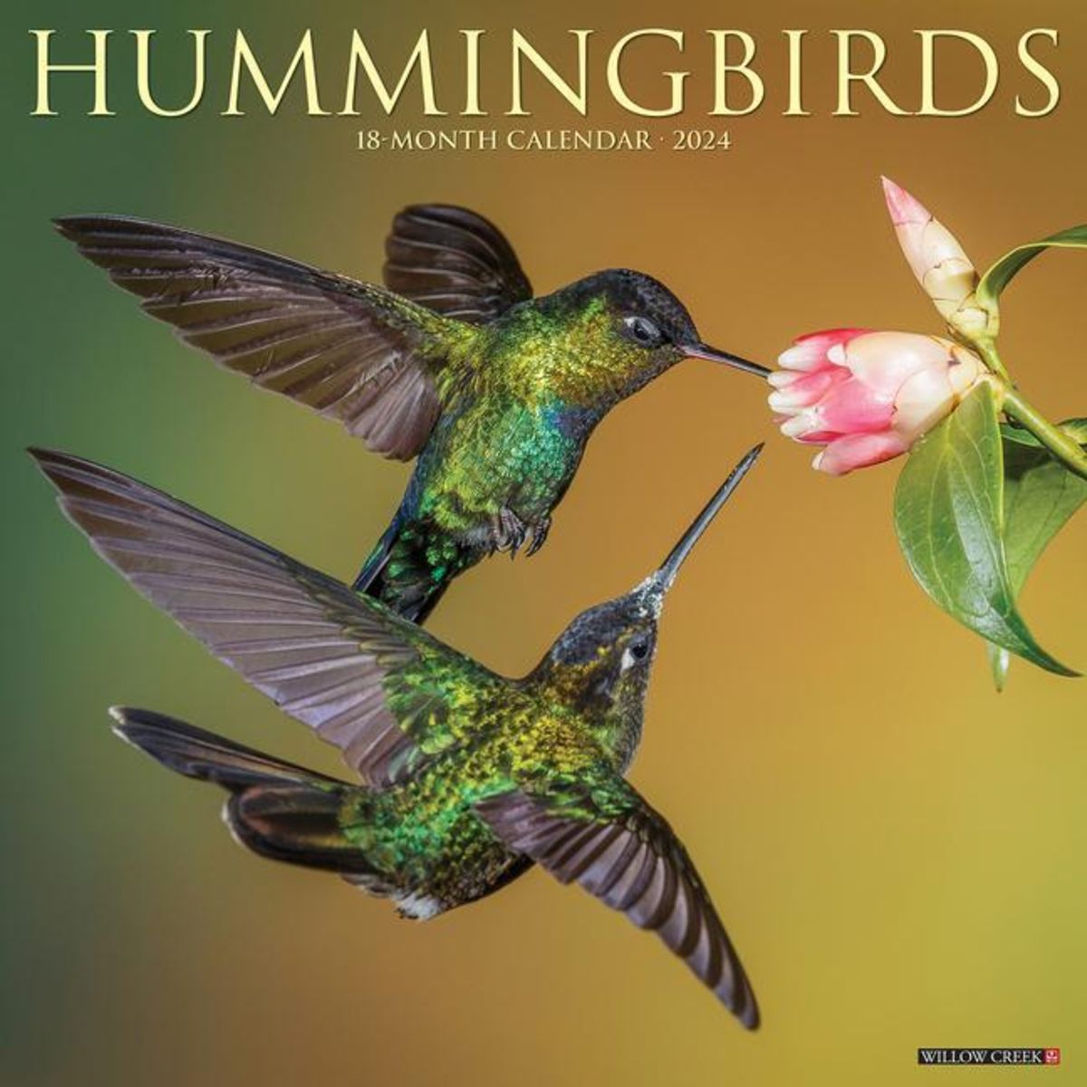 Hummingbirds 2024 12 X 12 Wall Calendar B Cher   Hummingbirds 2024 12 X 12 Wall Calendar 