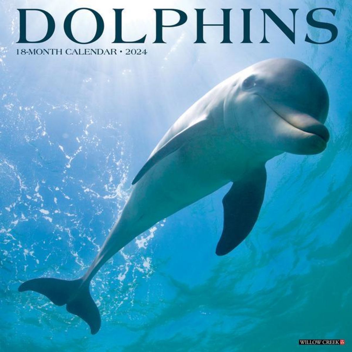 'Dolphins 2024 12 X 12 Wall Calendar' 'Tierkalender'