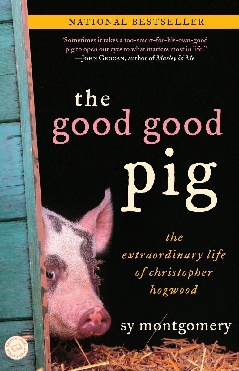 "The Good Good Pig" auf Englisch kaufen