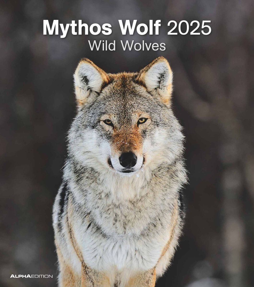 Mythos Wolf 2025 FotoKalender WandKalender 30x34 Wandkalender Thalia