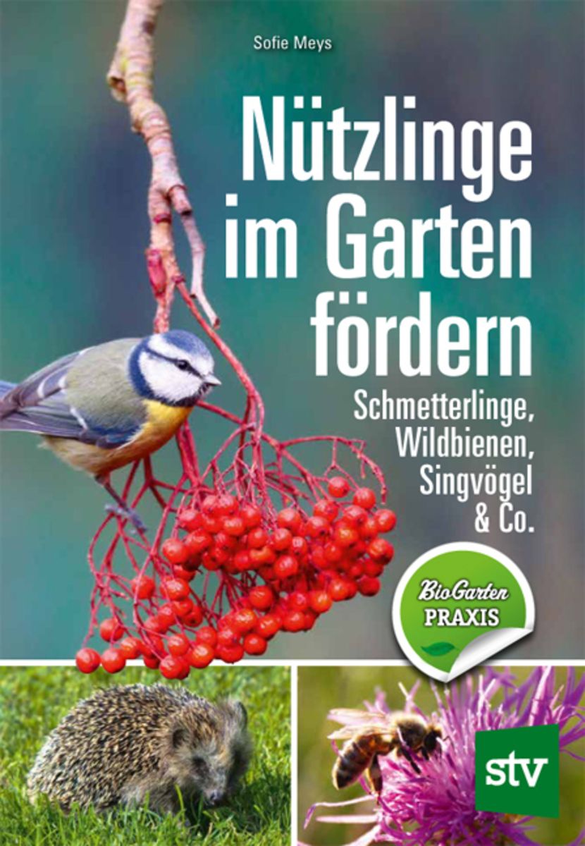 Nützlinge im Garten fördern von Sofie Meys Buch Thalia