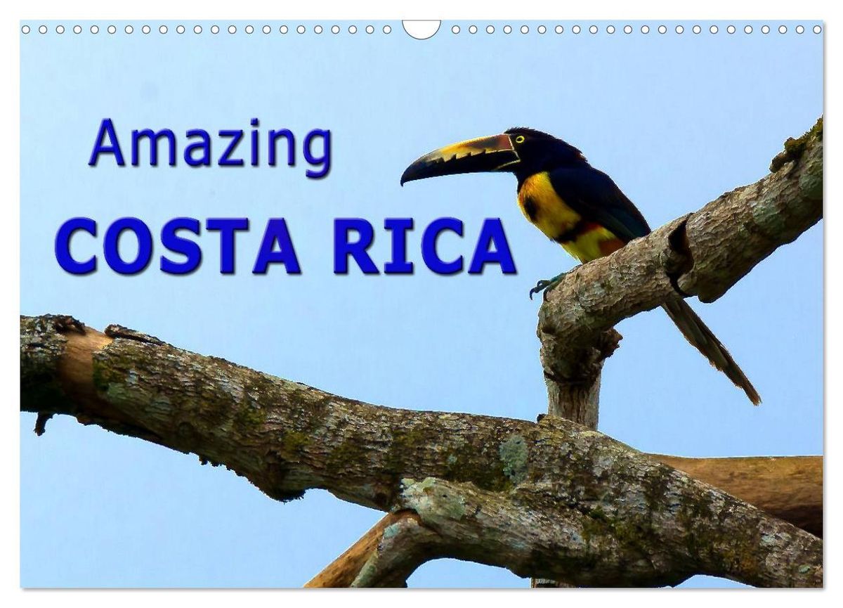 'Amazing Costa Rica (Wall Calendar 2025 DIN A3 landscape), CALVENDO 12