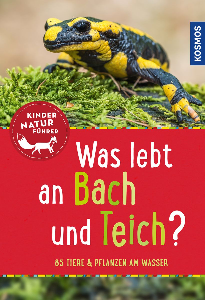 "Was lebt an Bach und Teich? Kindernaturführer" online kaufen
