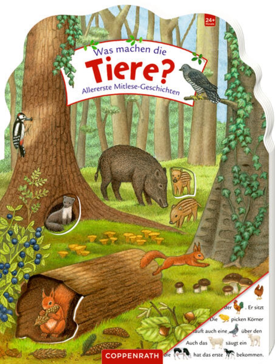 Bäume und ihre Tiere (gebundenes Buch)