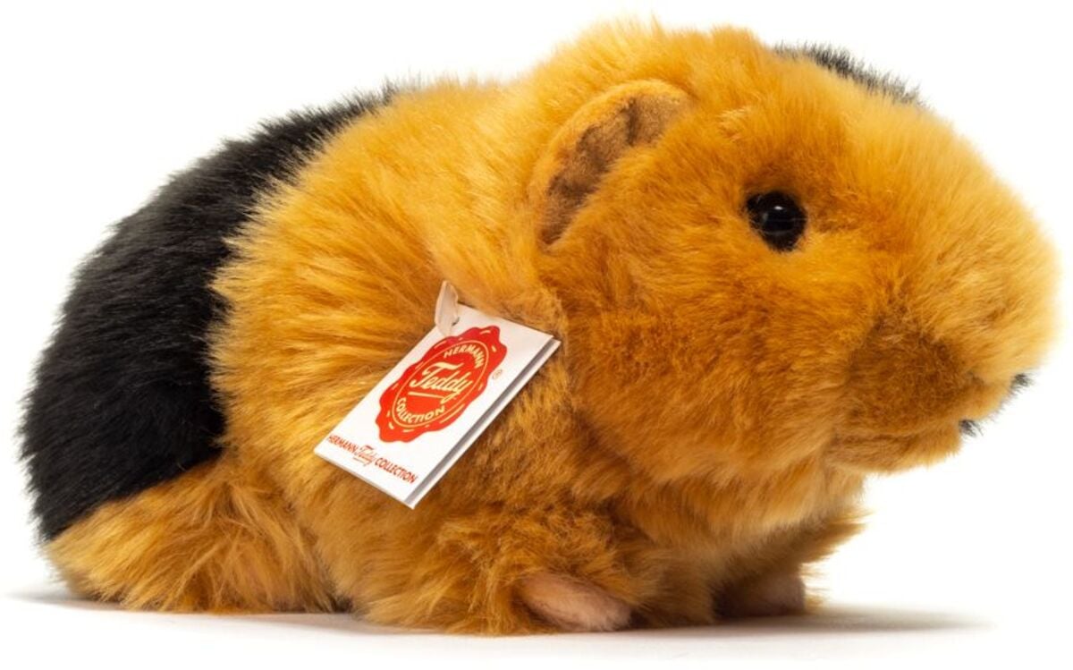 Süßes Meerschweinchen Kuscheltier – Realistisch, Weich & Perfekt Als Geschenk Für Kinder & Tierliebhaber