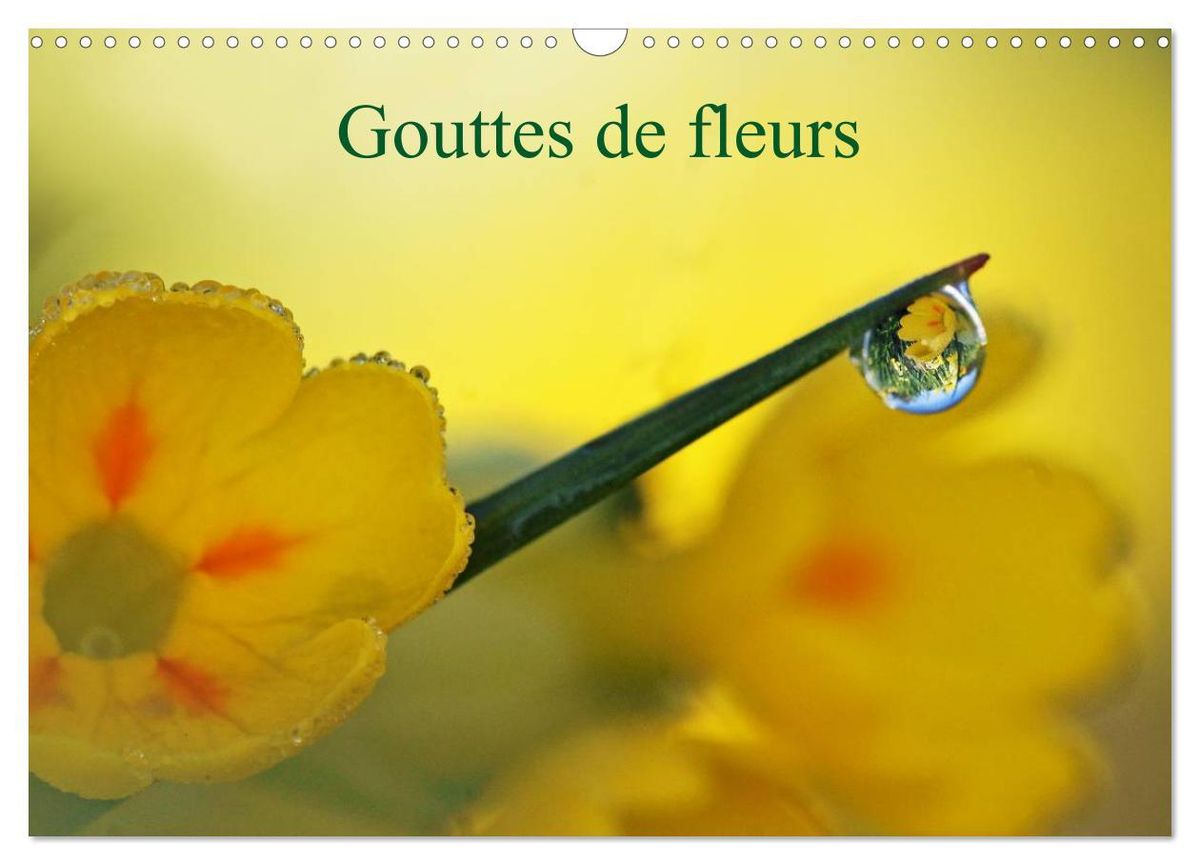 Gouttes De Fleurs Calendrier Mural 2024 Din A3 Vertical Calvendo