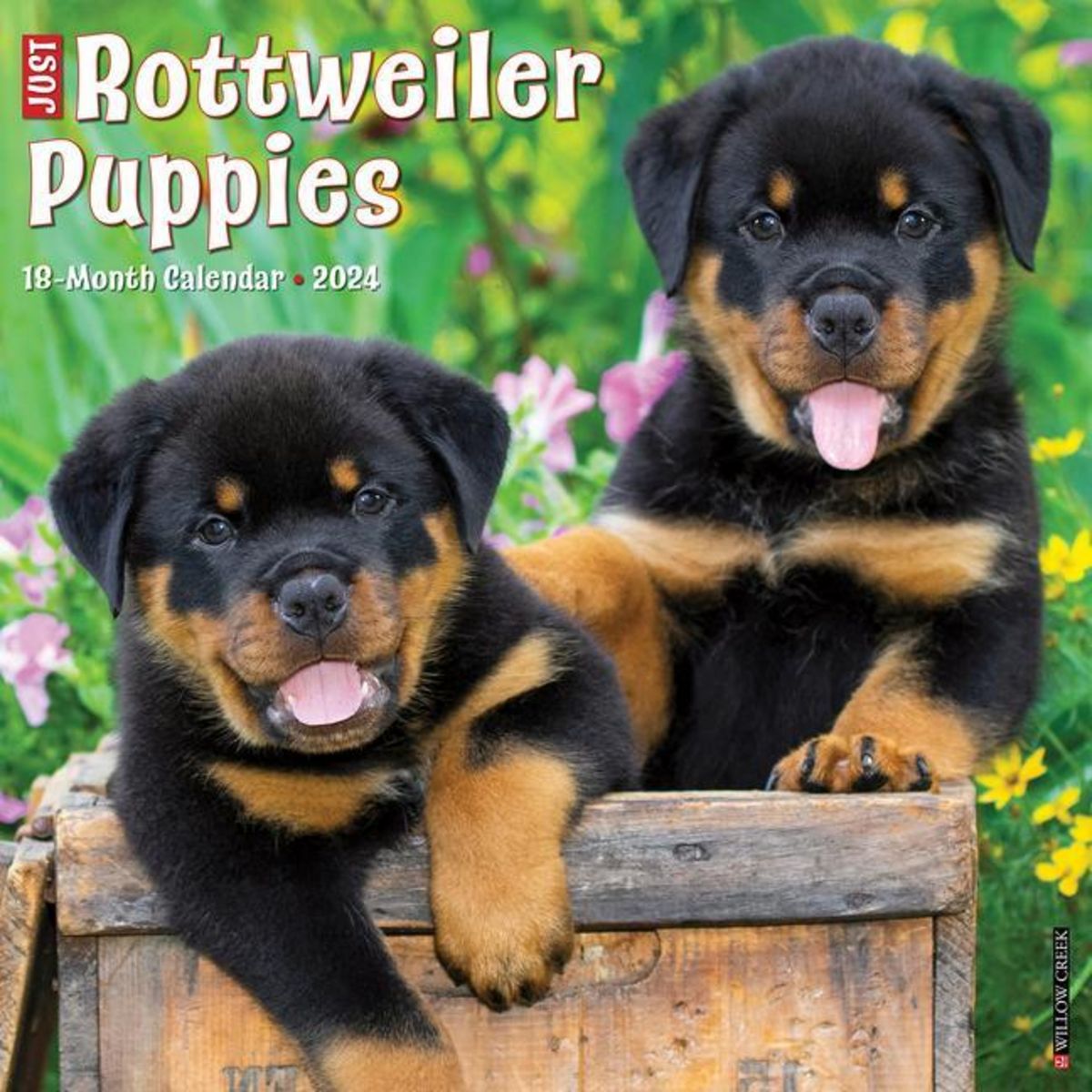 'Just Rottweiler Puppies 2024 12 X 12 Wall Calendar' 'Bücher'