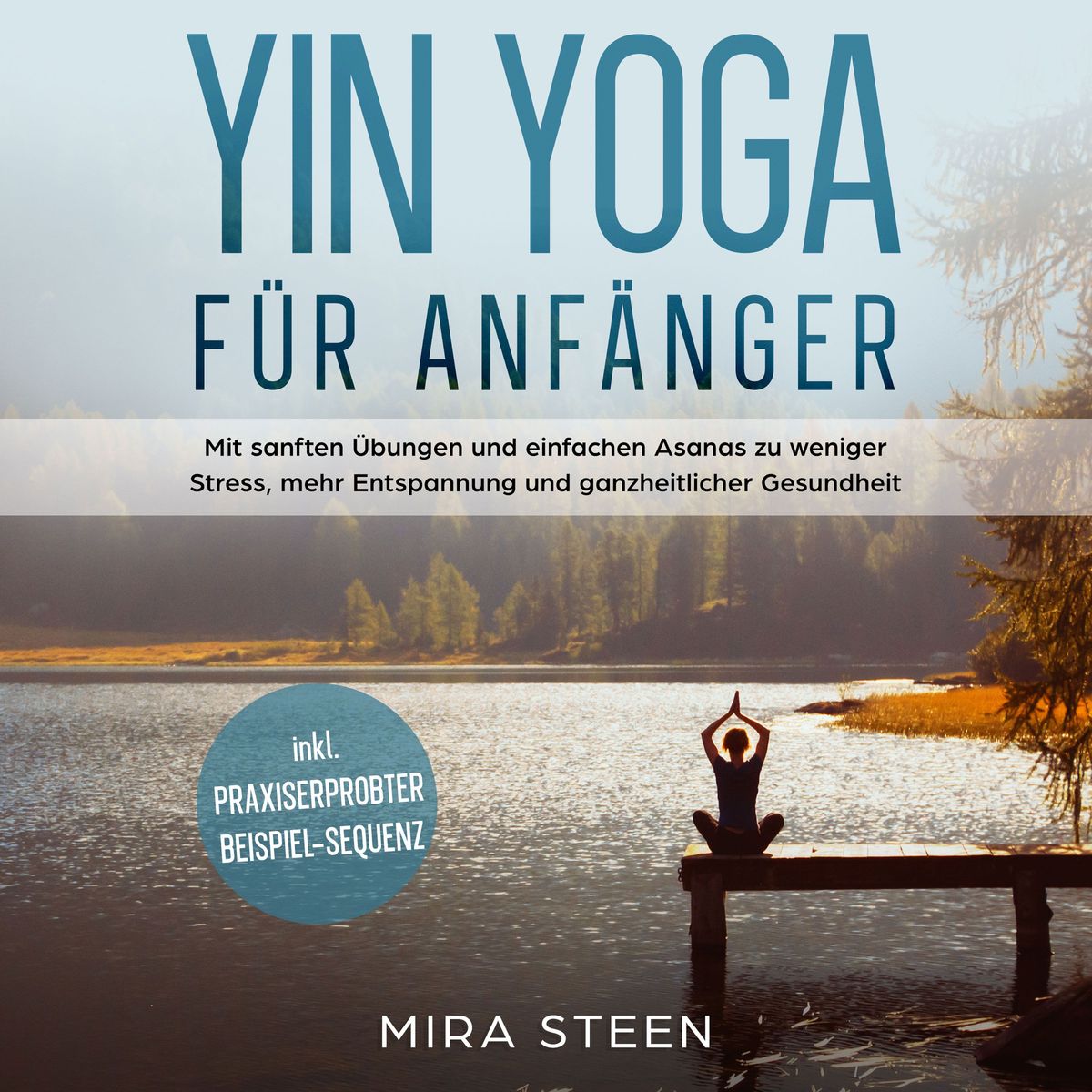 Yin Yoga für Anfänger Mit sanften Übungen und einfachen Asanas zu weniger Stress, mehr
