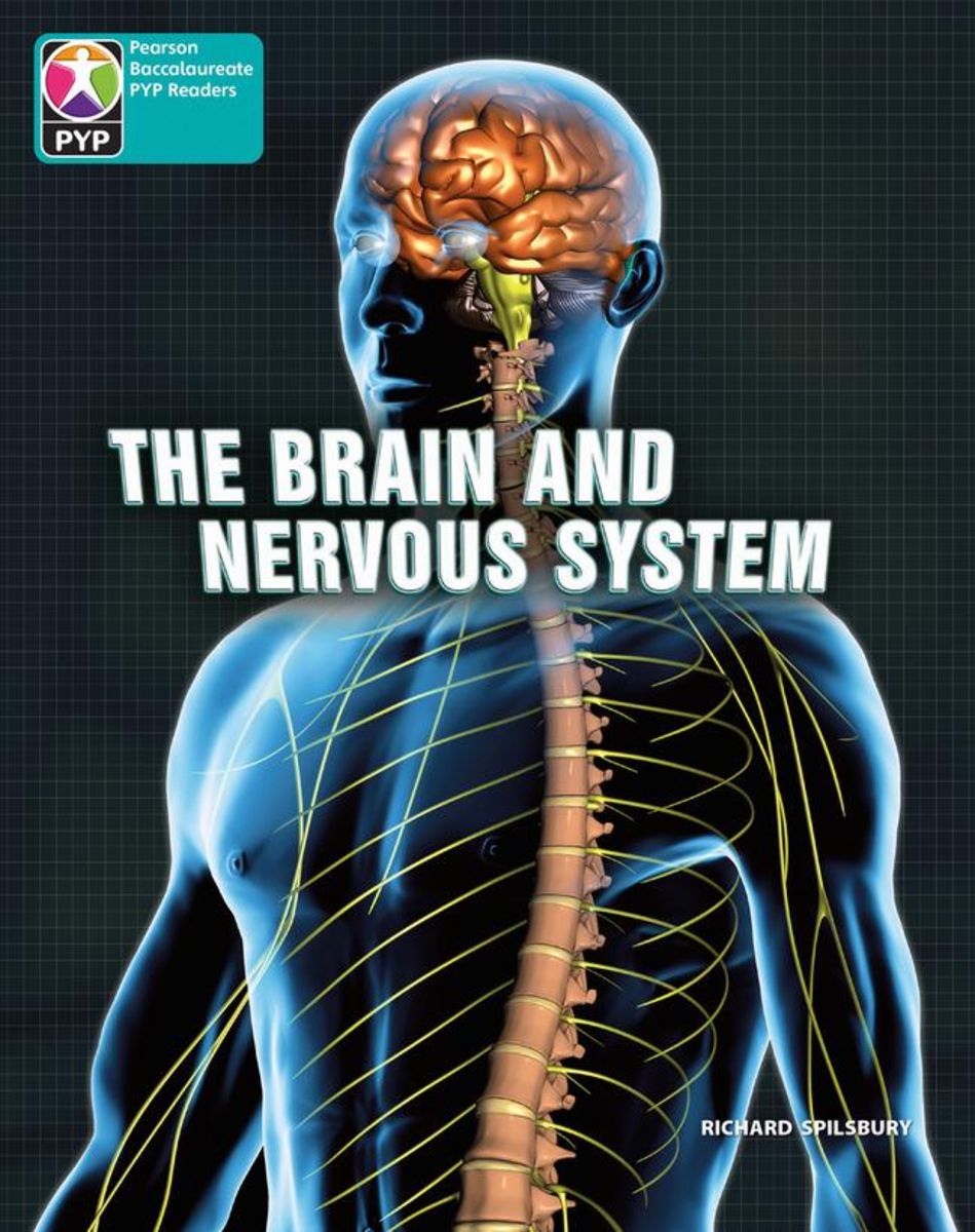 'PYP L10 Brain and nervous system 6PK' - 'Englische Bücher' Schulbuch ...