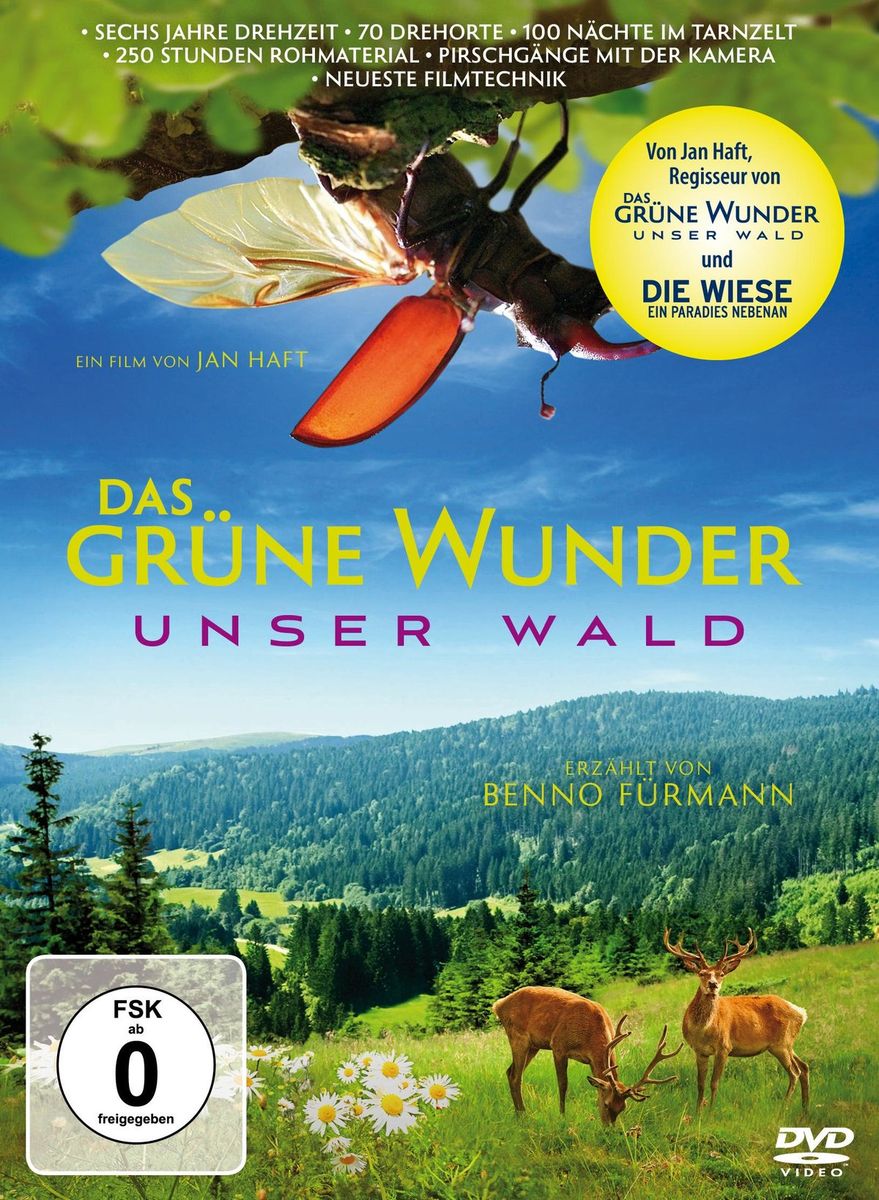 Das Grune Wunder Unser Wald