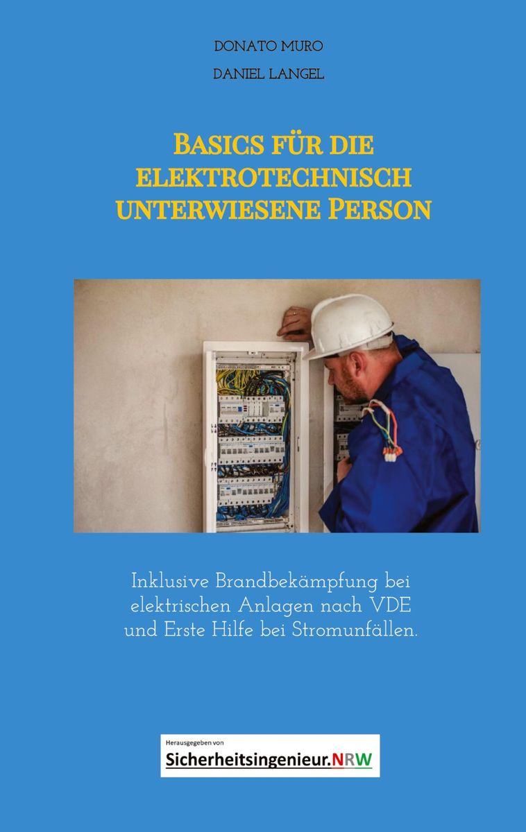 basics für elektrotechnisch unterwiesene person von donato muro