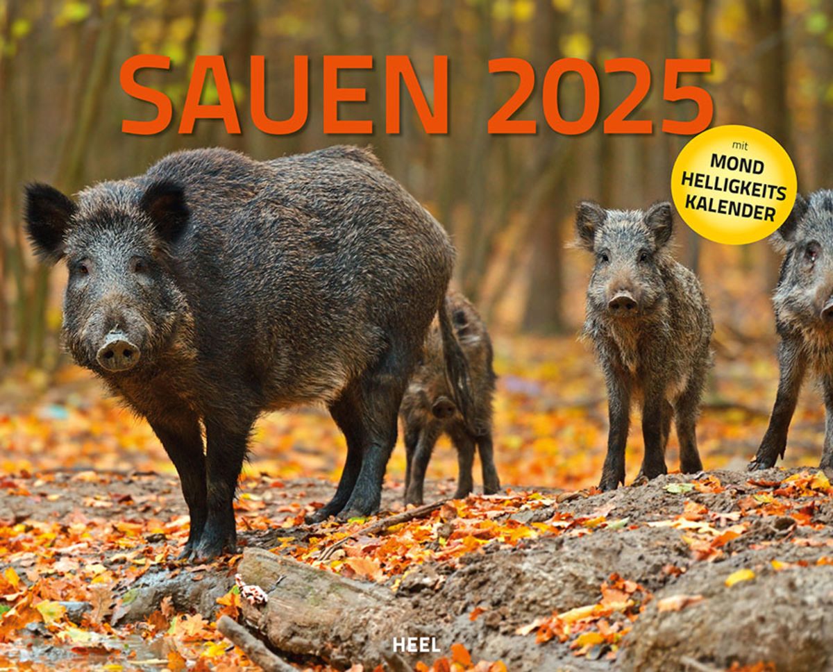 Sauen Kalender 2025 JagdKalender im XXLFormat Mondkalender Thalia