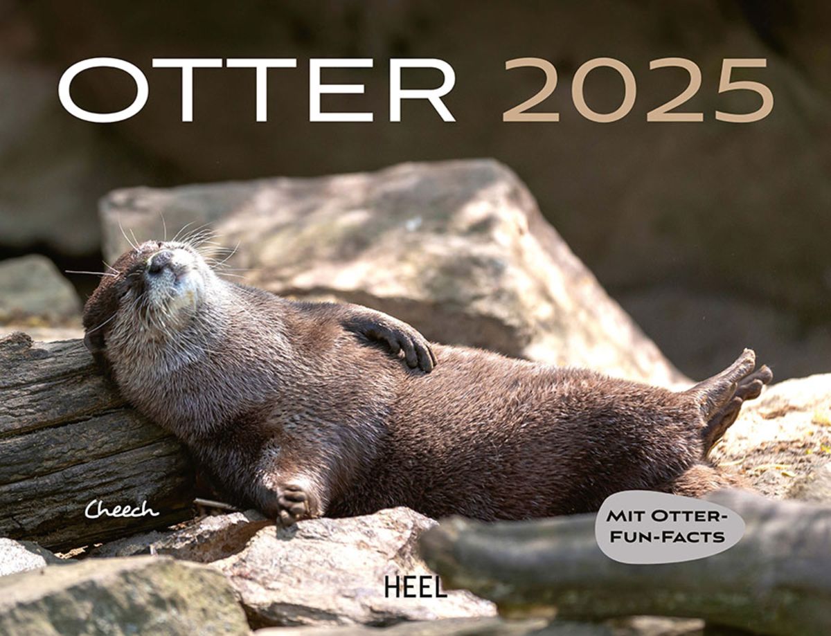 Otter Kalender 2025 