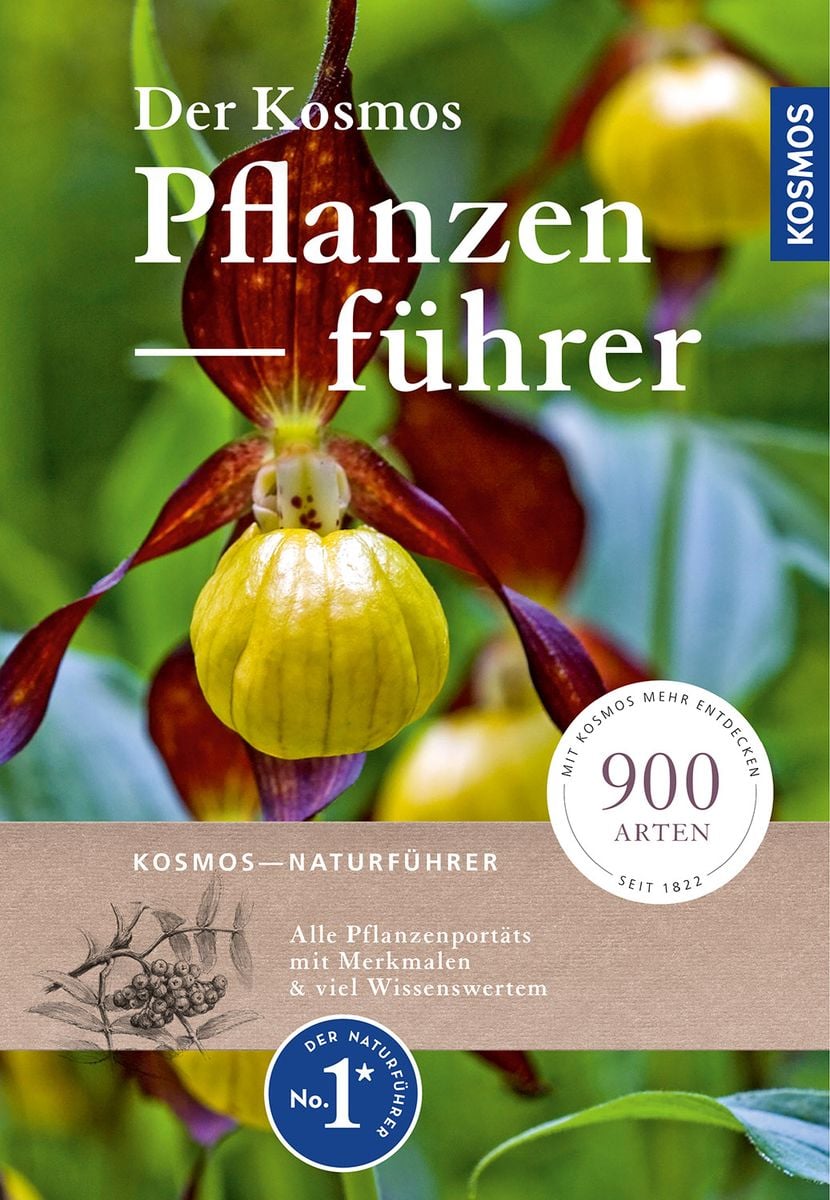 Der Kosmos Pflanzenführer 植物図鑑 ENCYCLOPEDIA OF FLOWERS 植物図鑑｜青幻舎 SEIGENSHA Art