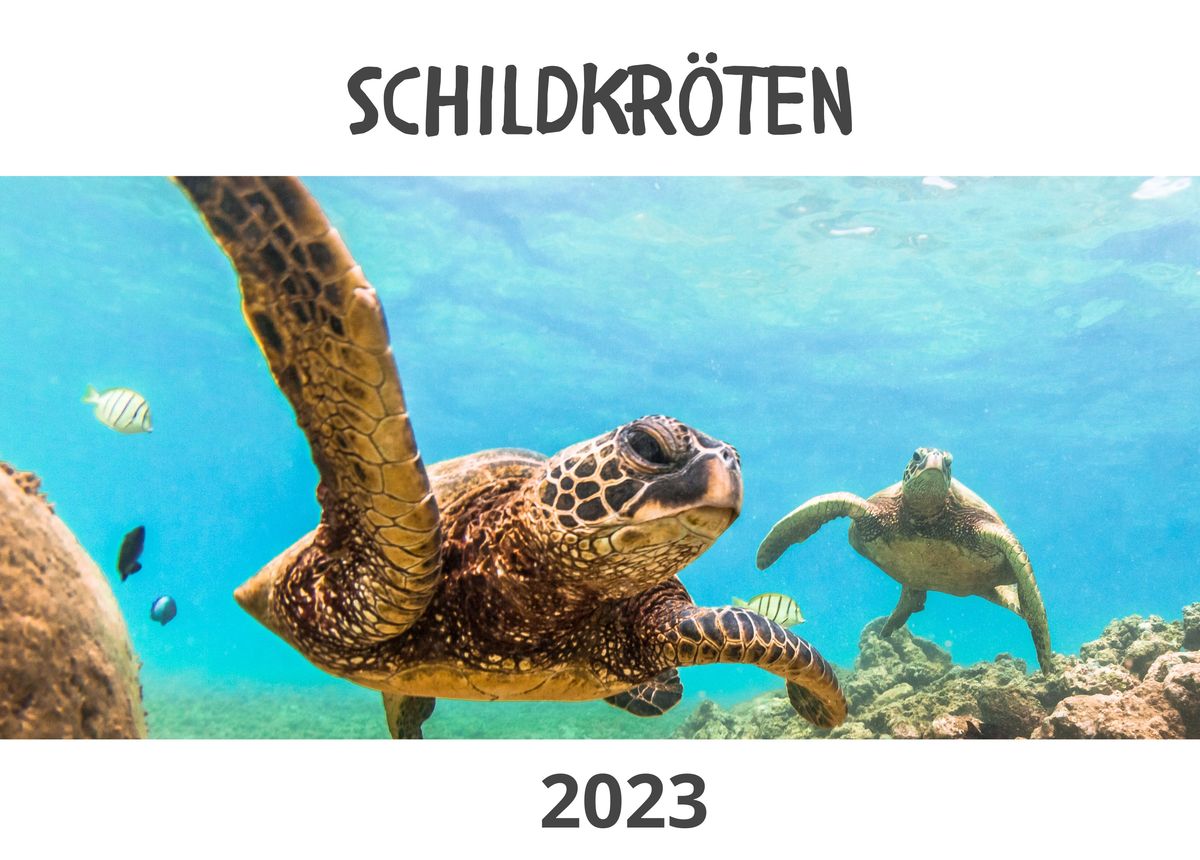 Schildkröten - Vatertag | Thalia