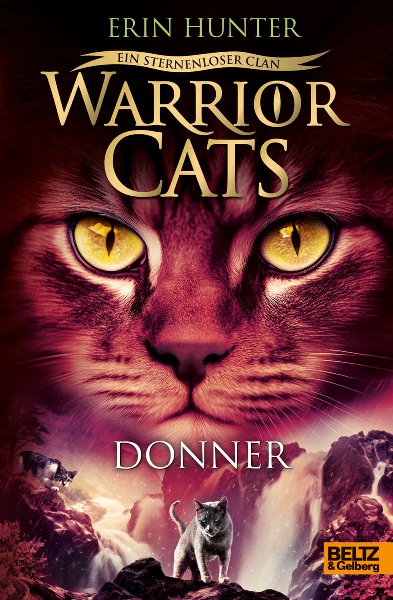"Warrior Cats Ein sternenloser Clan. Donner" online kaufen