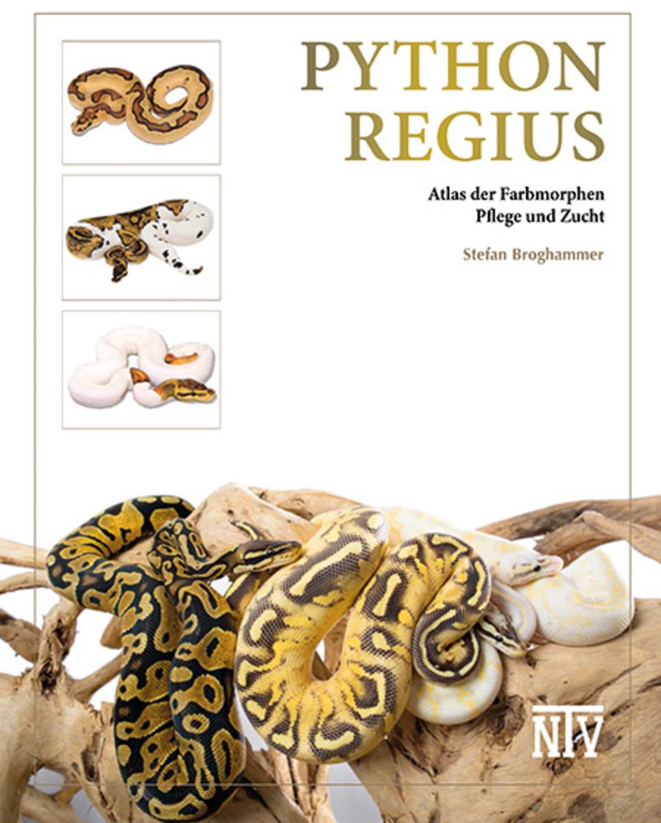 洋書　Python regius Das Kompendium Python regius