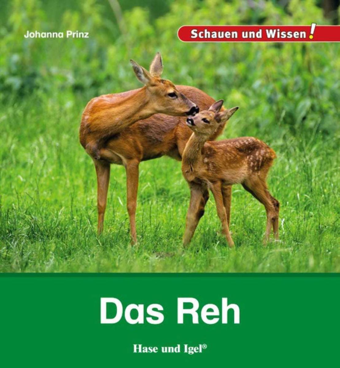 Das Reh Wissen für Kinder Schulbuch 9783867609913 Thalia