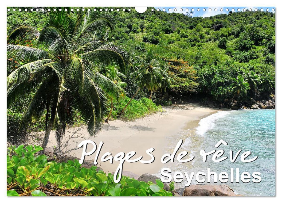 'Plages de rêve Seychelles (Calendrier mural 2025 DIN A3 vertical