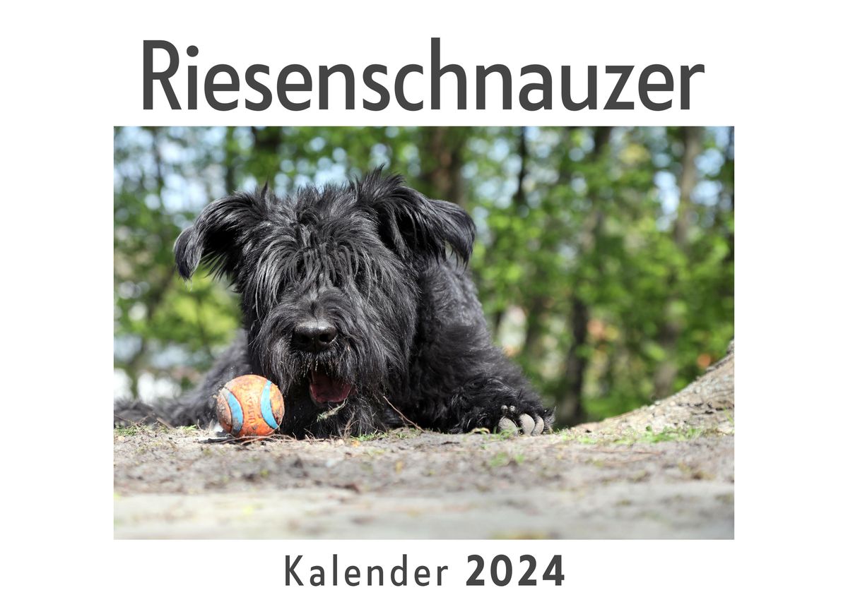 Riesenschnauzer Kalender 2025 