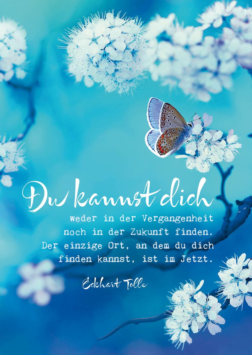 'Eckhart Tolle Postkarten "Du Kannst Dich"' Von 'Eckhart Tolle' - Buch