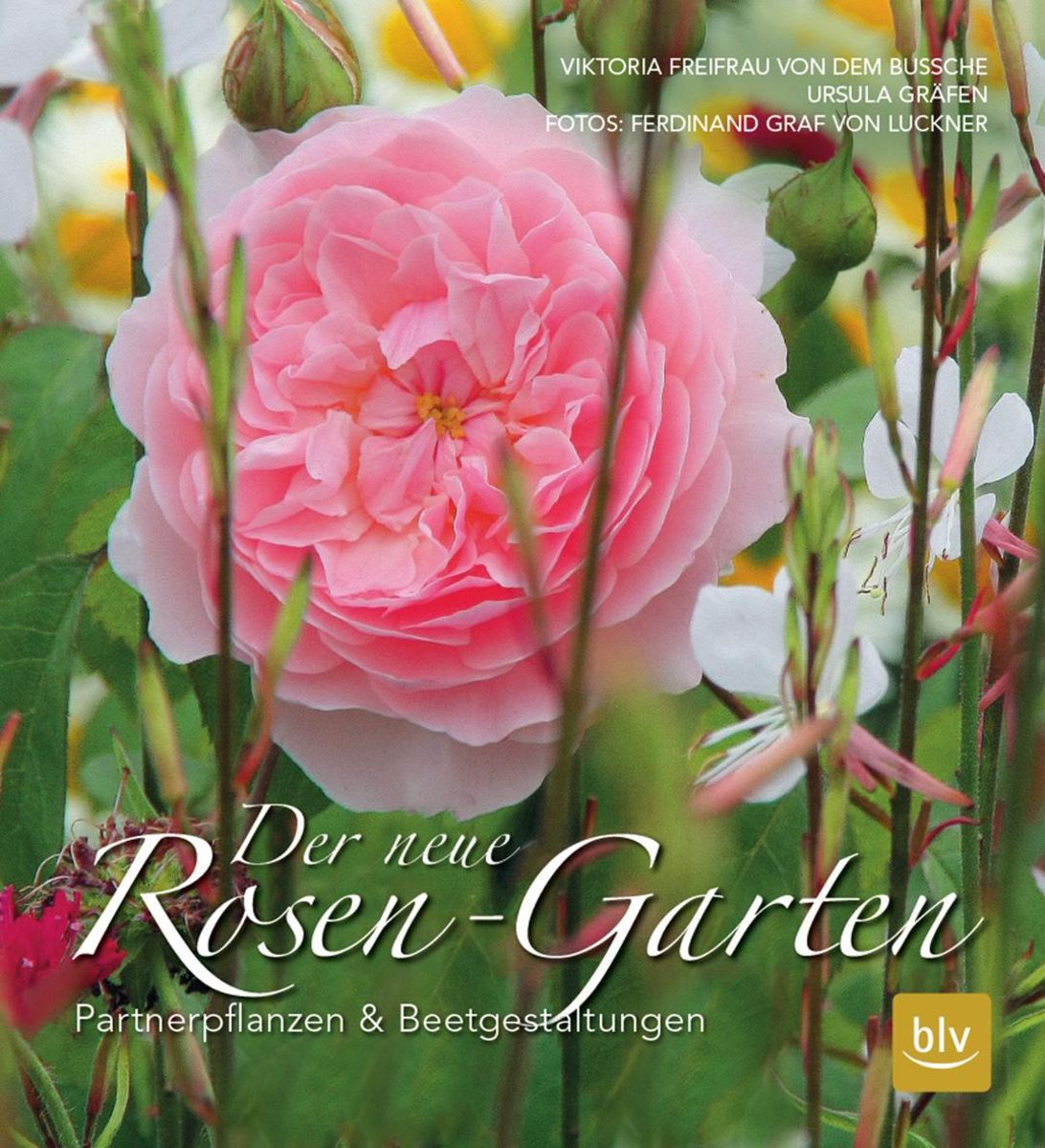 Der Neue Rosen Garten Von Freifrau Dem Bussche Buch 978 3 8354 1858 5 