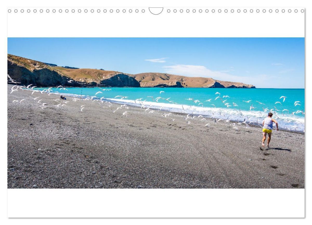 New Zealand Wall Calendar 2025 