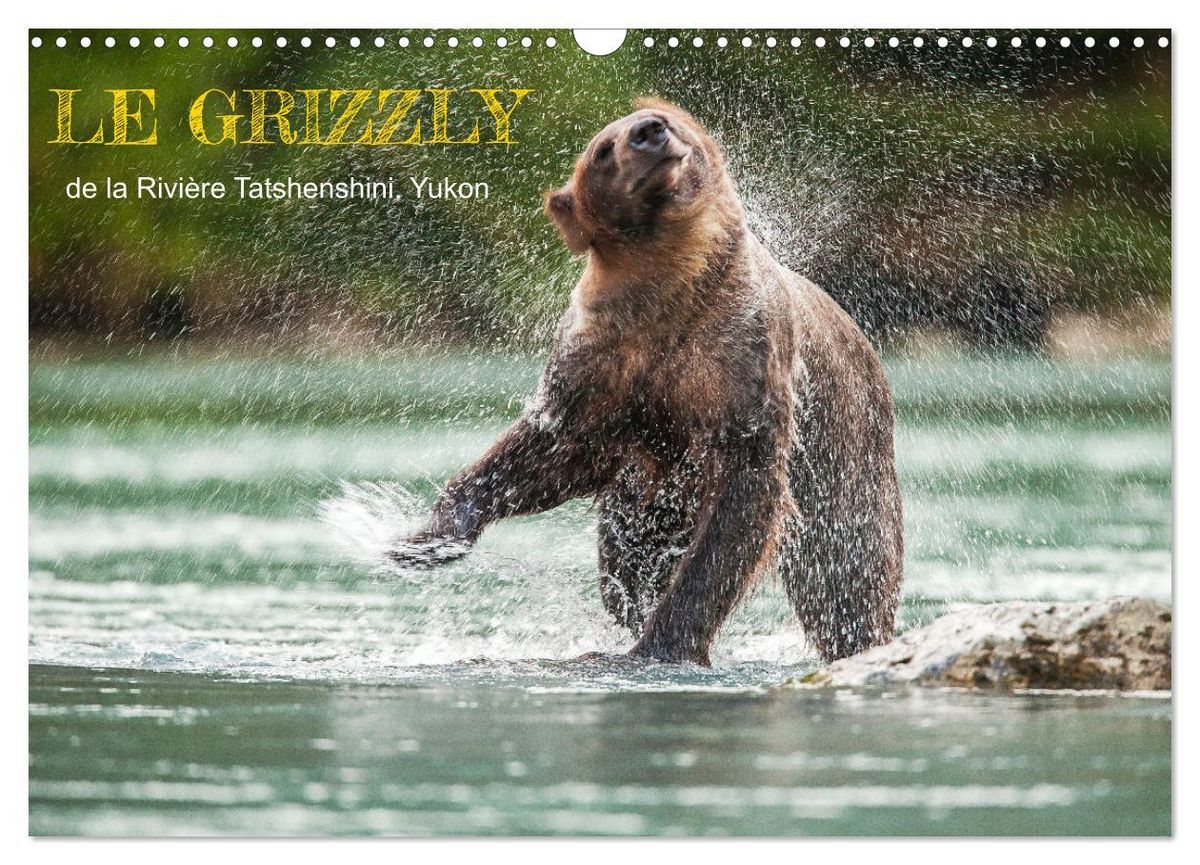 Le Grizzly De La Rivière Tatshenshini Yukon Calendrier Mural 2024