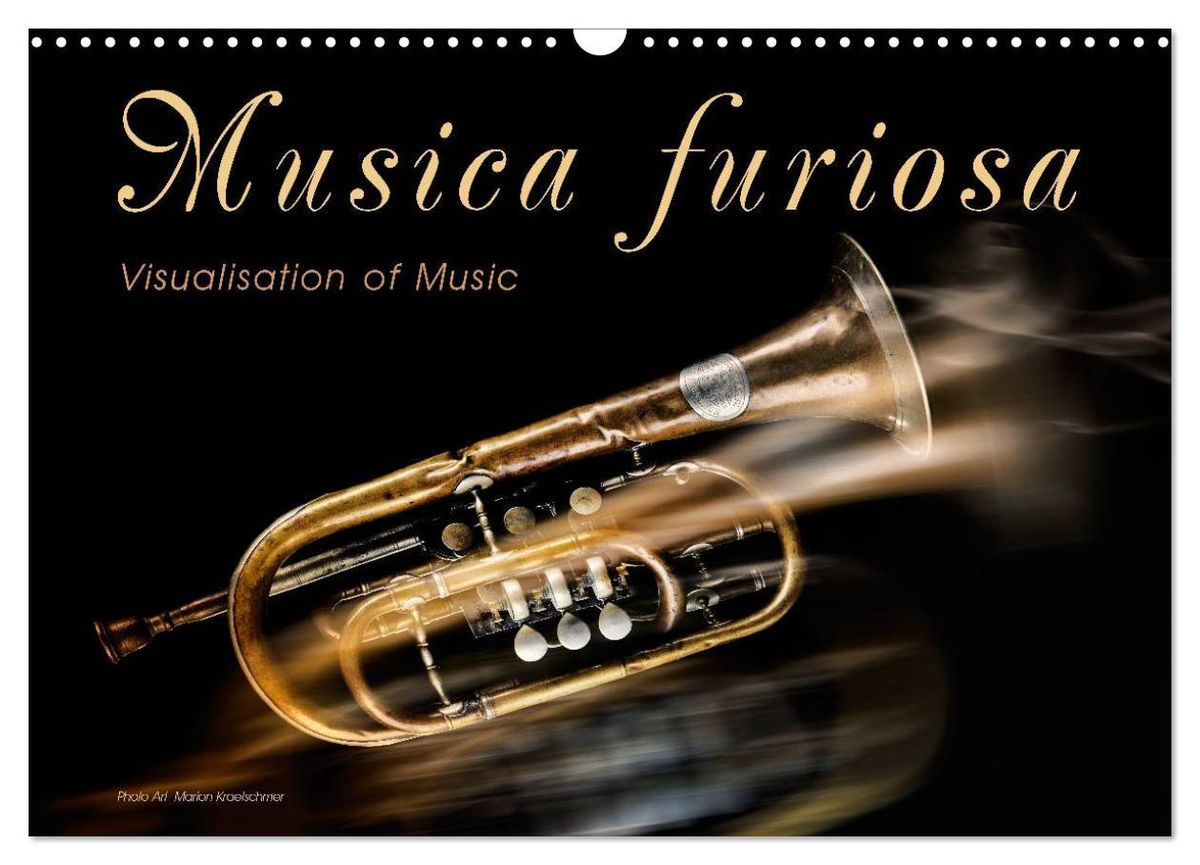 'Musica Furiosa (Wall Calendar 2025 DIN A3 landscape), CALVENDO 12