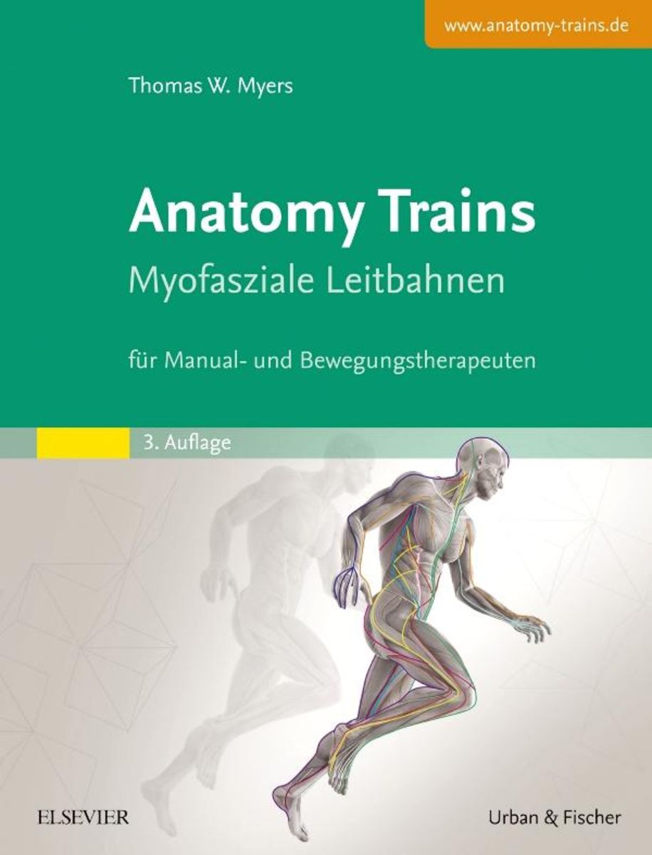 Anatomy Trains von Thomas W. Myers - Buch | Thalia